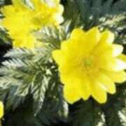 ヒメ日記 2026/04/15 19:25 投稿 まり ニューヨークニューヨーク