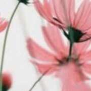 ヒメ日記 2026/04/16 22:19 投稿 まり ニューヨークニューヨーク