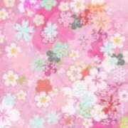ヒメ日記 2026/05/03 17:34 投稿 まり ニューヨークニューヨーク