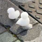 ヒメ日記 2025/02/22 19:20 投稿 なお ニューヨークニューヨーク