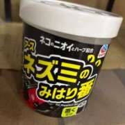 ヒメ日記 2025/03/07 01:18 投稿 なお ニューヨークニューヨーク