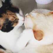 ヒメ日記 2025/04/10 11:23 投稿 なお ニューヨークニューヨーク