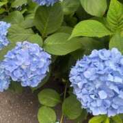 ヒメ日記 2025/06/08 07:36 投稿 なお ニューヨークニューヨーク