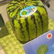 ヒメ日記 2025/08/16 15:56 投稿 なお ニューヨークニューヨーク