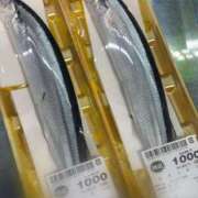 ヒメ日記 2025/08/16 22:49 投稿 なお ニューヨークニューヨーク