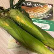 ヒメ日記 2025/09/13 23:51 投稿 なお ニューヨークニューヨーク