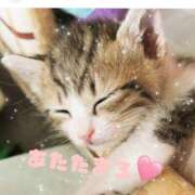 なお 行楽日和だね ニューヨークニューヨーク