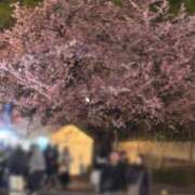 なお 綺麗だよ ニューヨークニューヨーク