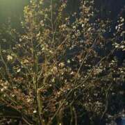 ヒメ日記 2026/04/05 00:10 投稿 かんな 海上空天 SHANGHAI HEAVEN