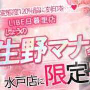 ヒメ日記 2025/03/20 20:52 投稿 生野マナ ニューハーフヘルスLIBE日暮里店