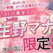 ヒメ日記 2025/09/21 18:01 投稿 生野マナ ニューハーフヘルスLIBE日暮里店