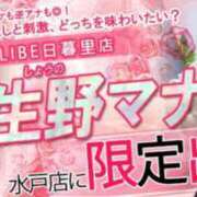 ヒメ日記 2026/03/25 20:43 投稿 生野マナ ニューハーフヘルスLIBE日暮里店