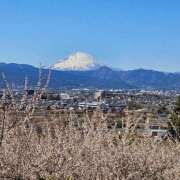 ヒメ日記 2025/02/26 07:45 投稿 さおとめ 丸妻 新横浜店