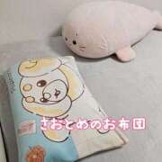 ヒメ日記 2025/03/17 07:24 投稿 さおとめ 丸妻 新横浜店