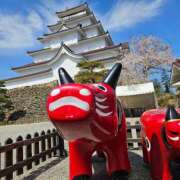 ヒメ日記 2025/04/23 12:23 投稿 さおとめ 丸妻 新横浜店