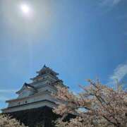 ヒメ日記 2025/04/29 03:14 投稿 さおとめ 丸妻 新横浜店