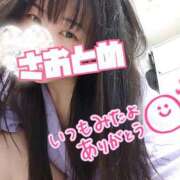 ヒメ日記 2025/10/12 09:47 投稿 さおとめ 丸妻 新横浜店