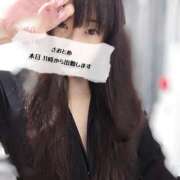 ヒメ日記 2025/11/24 09:20 投稿 さおとめ 丸妻 新横浜店