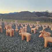 ヒメ日記 2025/12/05 03:19 投稿 さおとめ 丸妻 新横浜店