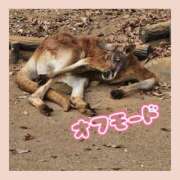 ヒメ日記 2025/12/10 02:20 投稿 さおとめ 丸妻 新横浜店