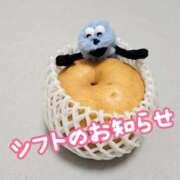 さおとめ シフトのお知らせ📢 丸妻 新横浜店