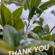 ヒメ日記 2026/02/09 22:41 投稿 さおとめ 丸妻 新横浜店