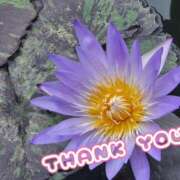 ヒメ日記 2026/03/27 02:04 投稿 さおとめ 丸妻 新横浜店