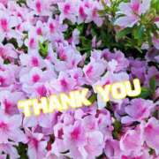 さおとめ THANK YOU♡... 丸妻 新横浜店