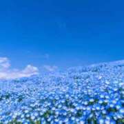 さおとめ お題のコーナー⭐ 丸妻 新横浜店