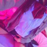 ヒメ日記 2025/04/12 15:49 投稿 ももちゃん もう！本物じゃなきゃ満足出来ない～アンアン吠える女子大生～