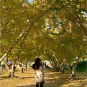 ヒメ日記 2024/12/13 09:42 投稿 イヴ アラモード