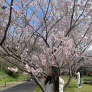 ヒメ日記 2025/03/08 18:44 投稿 イヴ アラモード