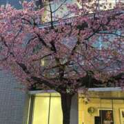 ヒメ日記 2025/03/27 22:55 投稿 イヴ アラモード