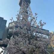 ヒメ日記 2025/04/19 11:30 投稿 イヴ アラモード