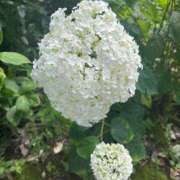 ヒメ日記 2025/06/19 15:51 投稿 イヴ アラモード