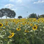 ヒメ日記 2025/08/04 09:29 投稿 イヴ アラモード