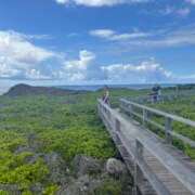 ヒメ日記 2025/09/03 07:07 投稿 イヴ アラモード