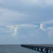 ヒメ日記 2025/09/11 07:46 投稿 イヴ アラモード