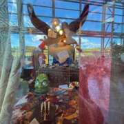 ヒメ日記 2025/11/13 16:07 投稿 イヴ アラモード