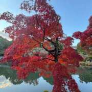 ヒメ日記 2025/11/23 11:08 投稿 イヴ アラモード