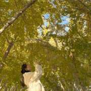 ヒメ日記 2025/11/28 08:10 投稿 イヴ アラモード