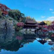 ヒメ日記 2025/12/02 09:31 投稿 イヴ アラモード