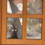 ヒメ日記 2026/01/24 14:02 投稿 イヴ アラモード