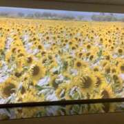 ヒメ日記 2026/02/11 10:27 投稿 イヴ アラモード