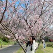 ヒメ日記 2026/02/20 12:01 投稿 イヴ アラモード