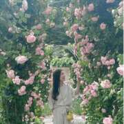 ヒメ日記 2026/03/19 11:15 投稿 イヴ アラモード