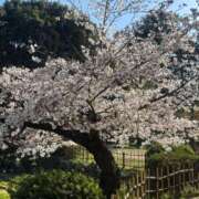 ヒメ日記 2026/03/27 22:24 投稿 イヴ アラモード