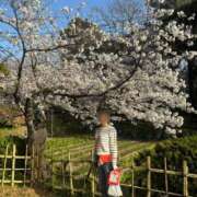 ヒメ日記 2026/03/29 21:37 投稿 イヴ アラモード