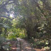 ヒメ日記 2026/04/14 08:02 投稿 イヴ アラモード