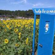 ヒメ日記 2023/10/27 12:20 投稿 さと 鹿児島ちゃんこ霧島店